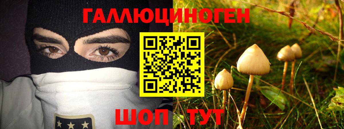 Севастополь  Галлюциногенные грибы мицелий  Вход с VPN 